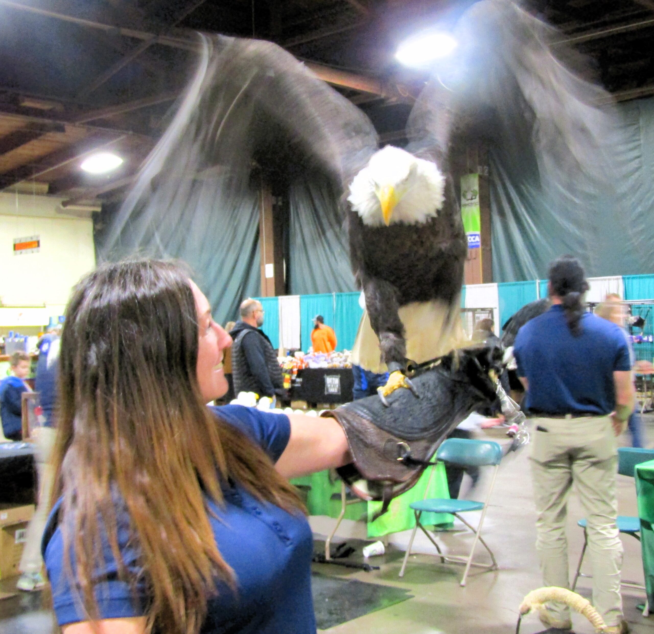 Animal attraction QC Bald Eagle Days brings in big crowd
