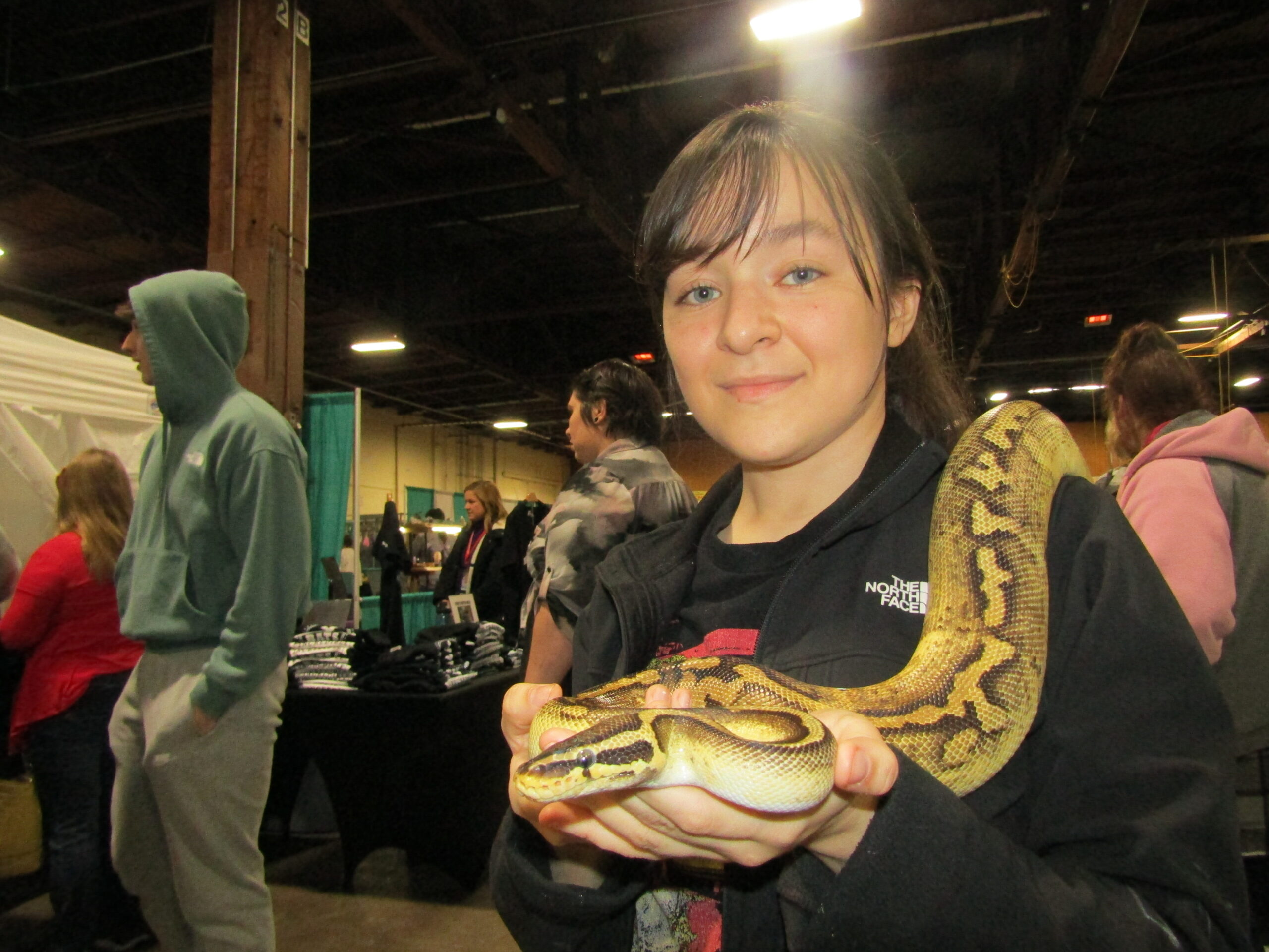 Animal attraction QC Bald Eagle Days brings in big crowd